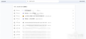 寰宇浏览器安全版