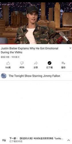 Youtube软件