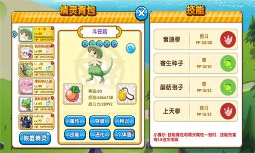 口袋之旅