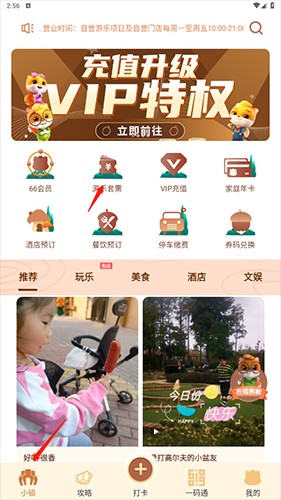 松鼠小镇怎么买票