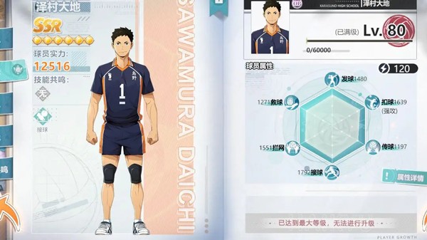 排球少年角色养成图