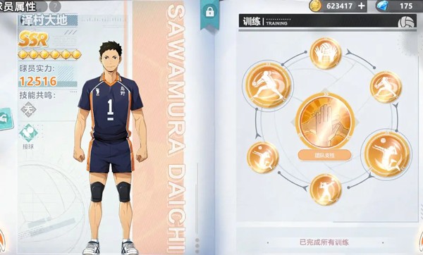 排球少年角色养成图