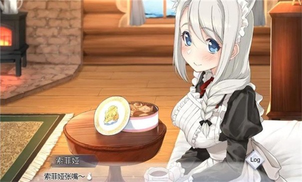 我与索菲娅的秘密玩法图