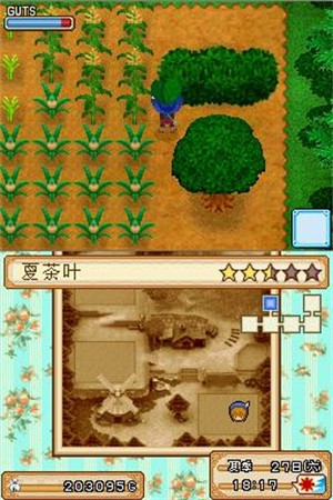 牧场物语风之集市游戏攻略2