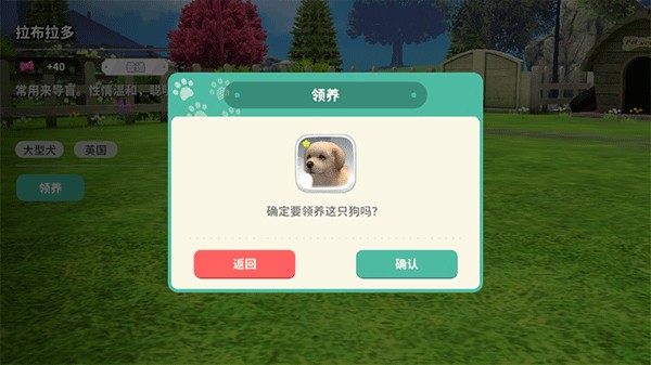 梦幻小狗最新版新手攻略2