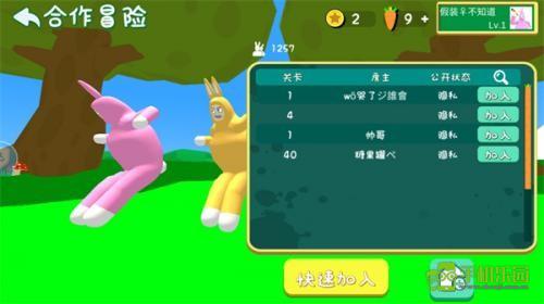 疯狂兔子人双人联机版