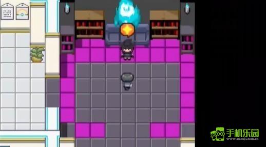 宝可梦迷之规则十二训练师