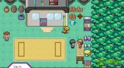 宝可梦迷之规则十二训练师