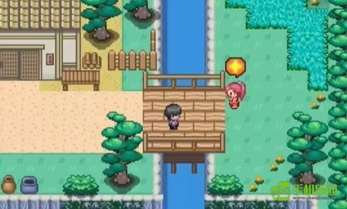 宝可梦迷之规则十二训练师