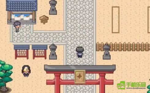 宝可梦迷之规则十二训练师