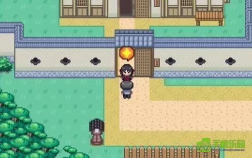 宝可梦迷之规则十二训练师