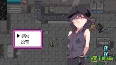 宝可梦迷之规则十二训练师