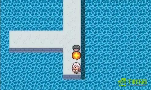 宝可梦迷之规则十二训练师