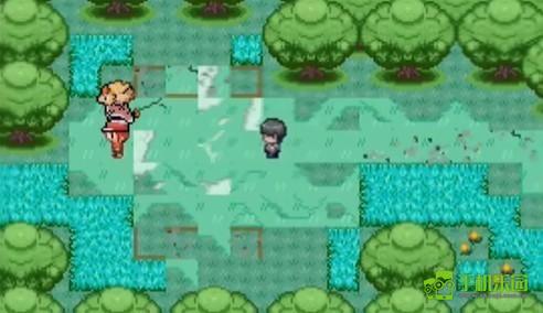 宝可梦迷之规则十二训练师