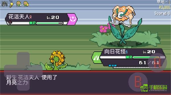 宝可梦肉鸽妖梦攻略图