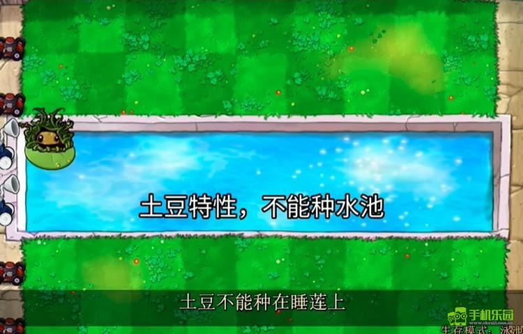 废物大战僵尸植物介绍