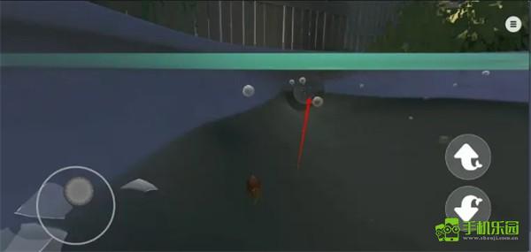我是小鱼儿(官方版)通关路径指南【金鱼篇】
