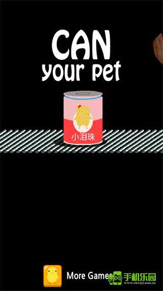 养只小黄鸡攻略