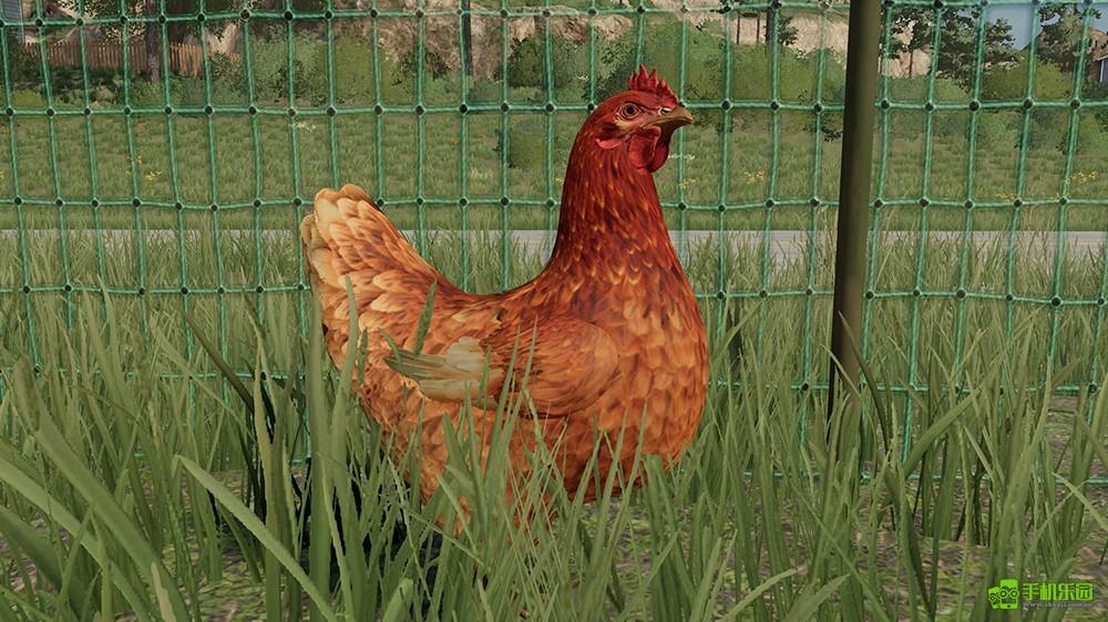 模拟农场23手机版动物一览