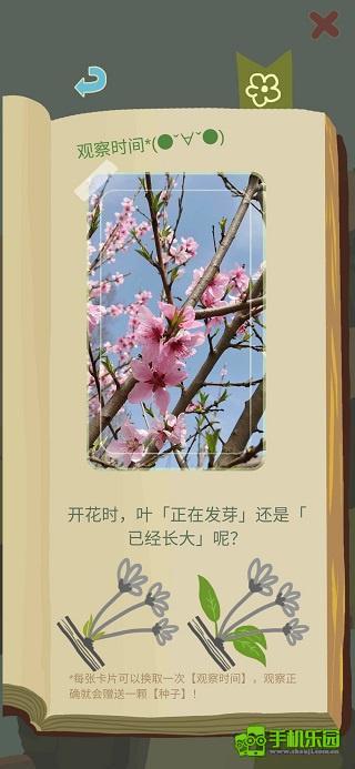 老农种树玩法剧情