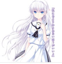 夏日口袋汉化版