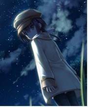 夏日口袋汉化版