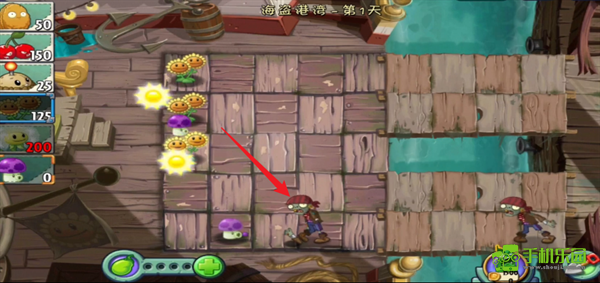 植物大战僵尸2迷宫拓展版