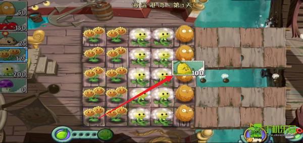 植物大战僵尸2迷宫拓展版