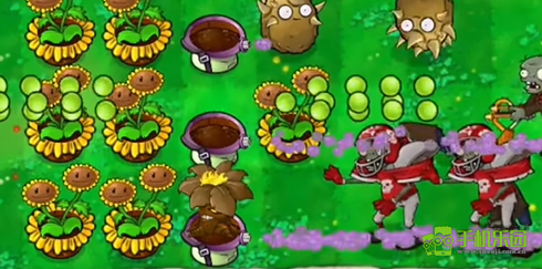pvz启命版