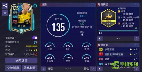 fc足球世界测试服