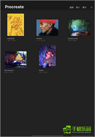 procreate软件