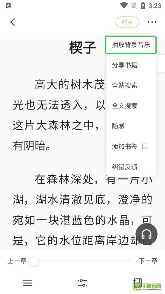 掌阅精选