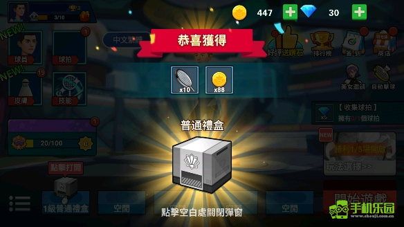 羽毛球大师