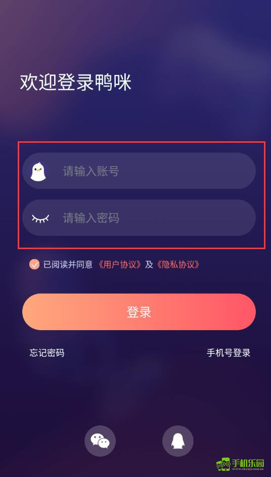 鸭咪