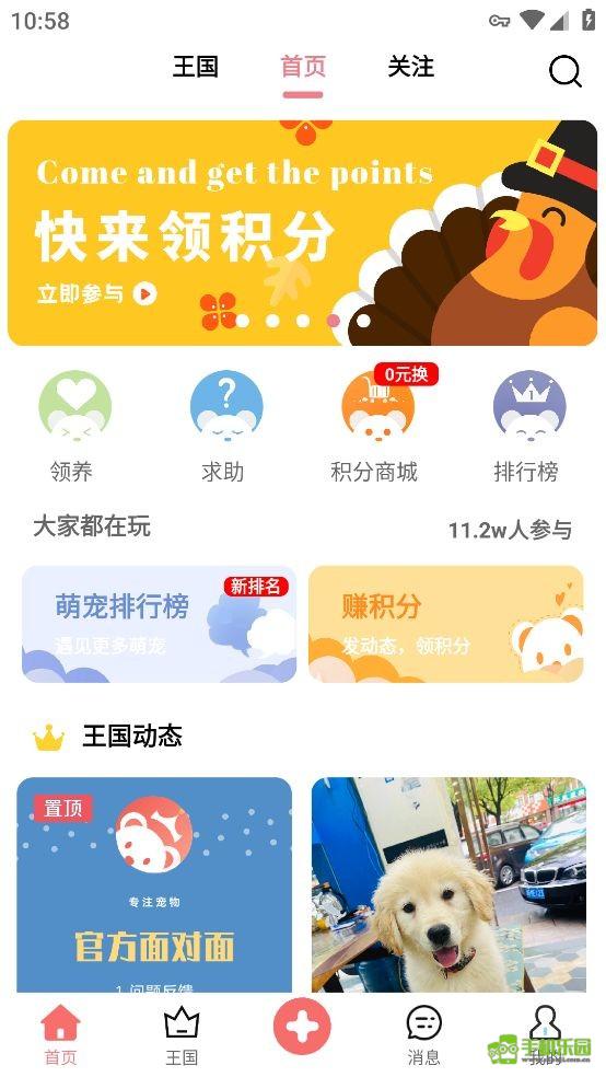 宠物王国