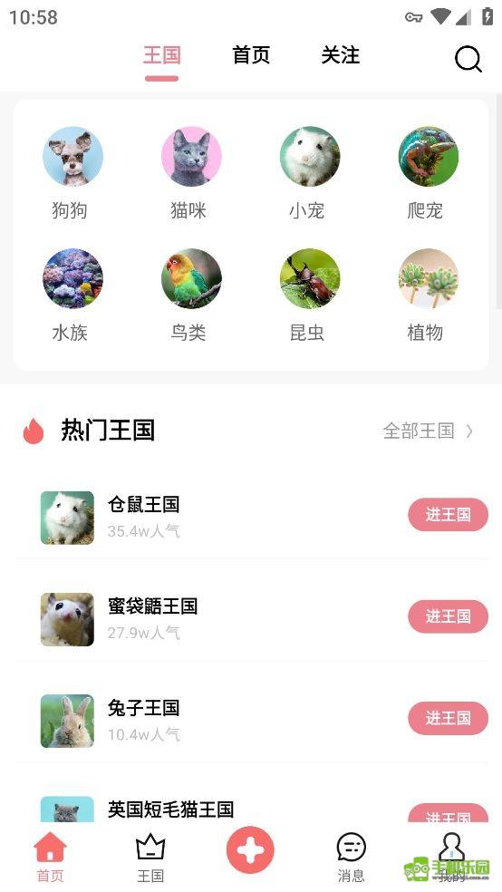 宠物王国