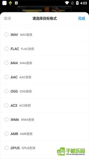 格式工厂永久免费版