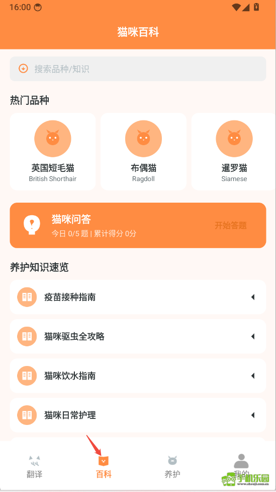 快乐小猫