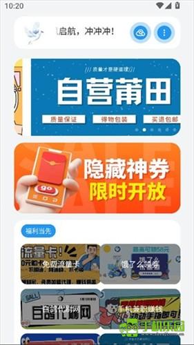 熊盒子白鸽