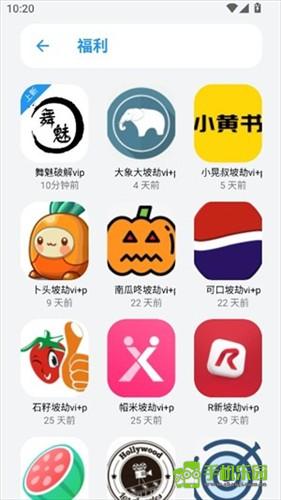 熊盒子白鸽