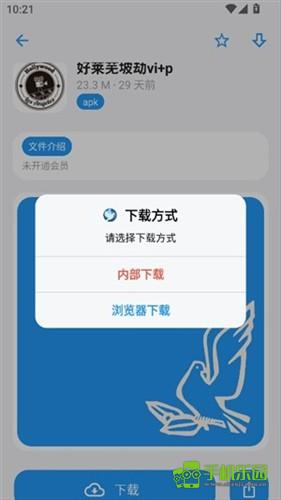 熊盒子白鸽