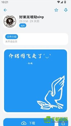 熊盒子白鸽