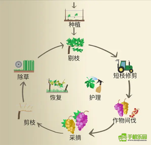 酿造物语