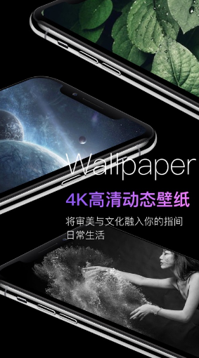 壁纸大全APP界面展示