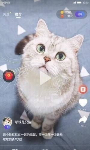 四叶草短视频app界面截图