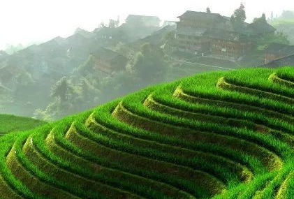 盐都益农网app界面截图