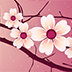 樱花动态壁纸 Sakura Pro v1.3.1