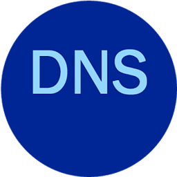 设置DNS SetDNS v2.1.3