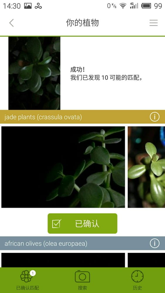LikeThat 花园 v1.1.8截图