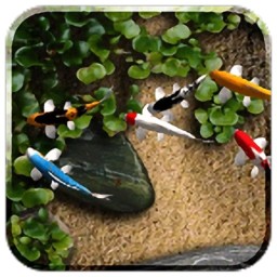 七彩鱼动态壁纸app下载安装 6.1028.2122